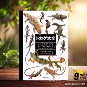                     [レビュー] トカゲ大全 LIZARDS OF THE WORLD (マーク・オシー) 要約した.                