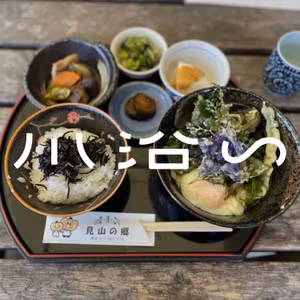 #002　踏み絵を踏む前に転ぶ術