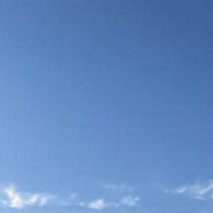 2026.5.12（火）すてむのひとりごと