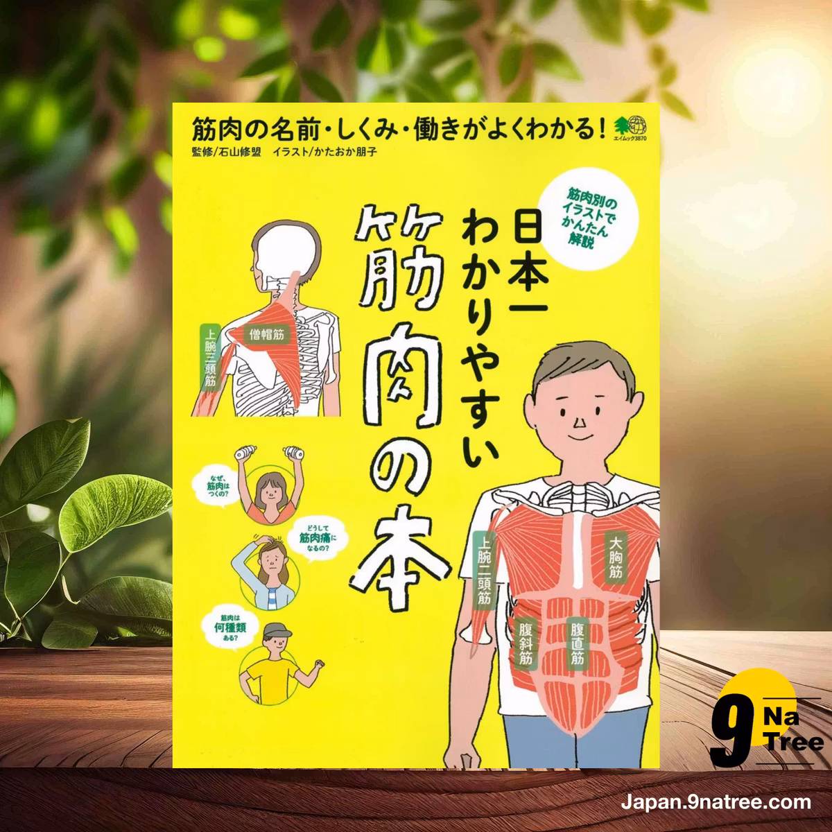                     [レビュー] 日本一わかりやすい 筋肉の本  (石山修盟) 要約した.                