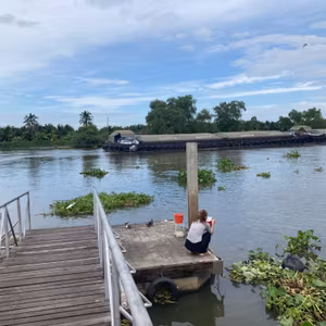 タイで魚を放流してきたよ