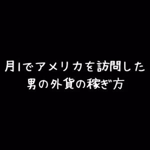 月1でアメリカを訪問した男の外貨の稼ぎ方【Majisukeさん】