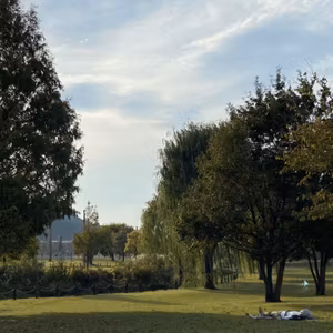 ドッグラン付き公園で見かける犬たちに思うこと🐕‍🦺🐾ドッグトレーナーのつぶやき