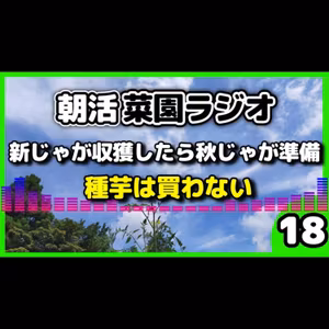 昨年は北海道産のじゃがいもが高騰、家庭菜園ならじゃがいもは無限ループ『ごいち流』栽培・保存術【朝活菜園ラジオ】