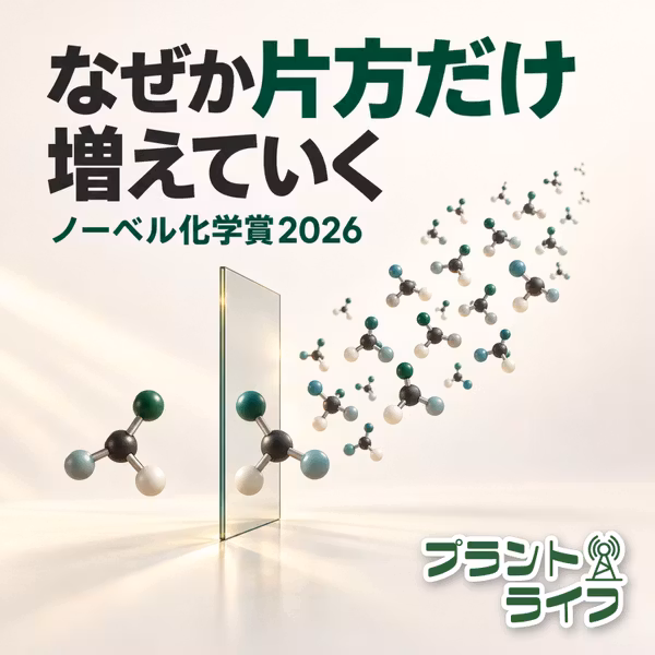 #132 なぜか片方だけ増えていく！ノーベル化学賞2026解説（非線形効果・自己触媒作用）
