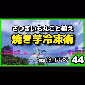 ＜さつまいも栽培＞目指せ1箇所10個収穫！劇的に甘くする「焼き芋冷凍＆復活術」【朝活菜園ラジオ】