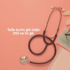 Tuần trước ghi nhận 210 ca ho gà.