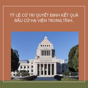 Tỷ lệ Cử tri Quyết định Kết quả Bầu cử Hạ viện trong Tỉnh.
