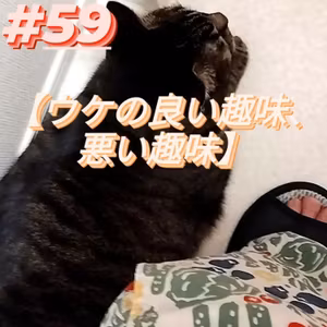 #59【ウケの良い趣味、悪い趣味】
