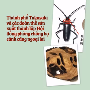 Thành phố Takasaki và các đoàn thể sản xuất thành lập Hội đồng phòng chống bọ cánh cứng ngoại lai