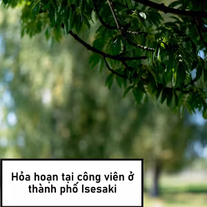 Hỏa hoạn tại công viên ở thành phố Isesaki