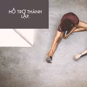 Hỗ trợ thành lập.