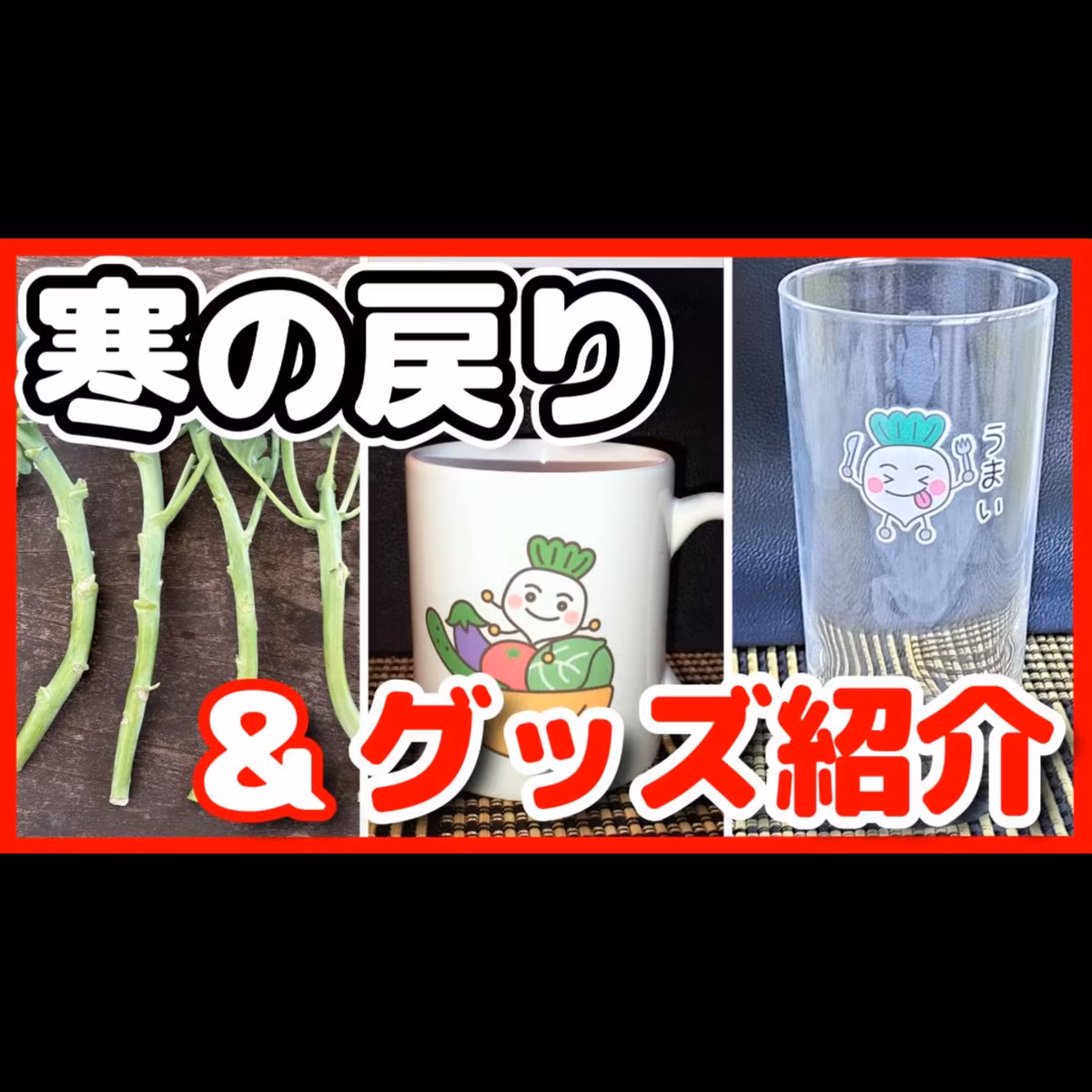 【緊急告知あり】ヤバイ！寒の戻り＆グッズ紹介