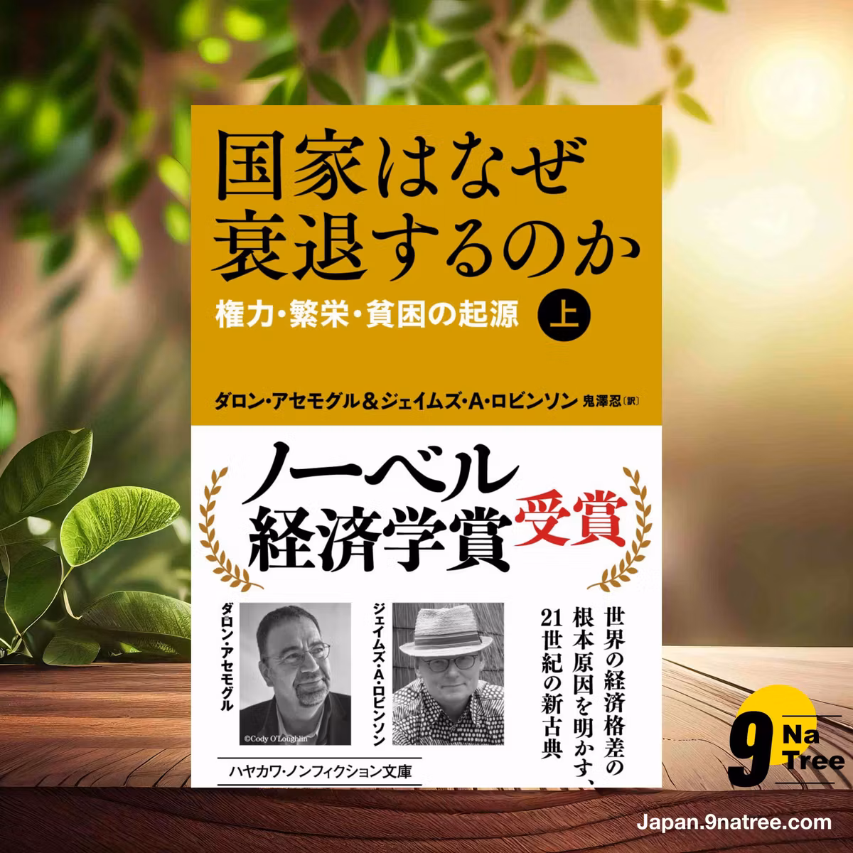                     [レビュー] 国家はなぜ衰退するのか:権力・繁栄・貧困の起源  (ダロン アセモグル) 要約した.                