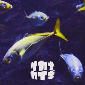 アジ 🐟 アジニキと『本当に旨いアジ』について喋る