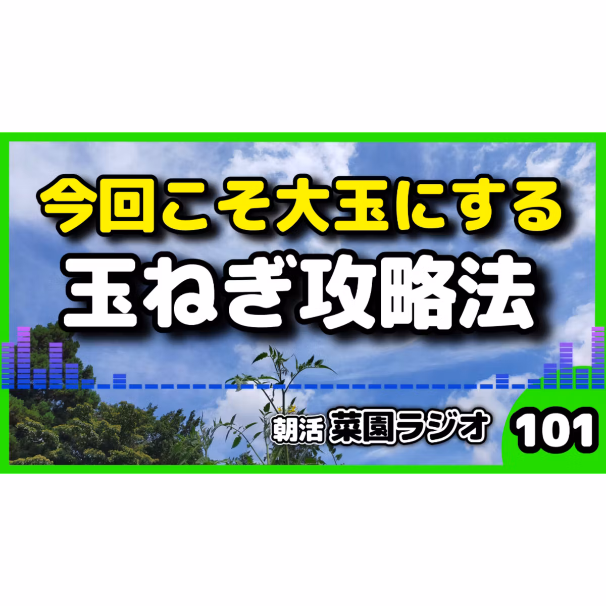 ＜玉ねぎ栽培＞苗の太さから追肥までのポイント【朝活菜園ラジオ】