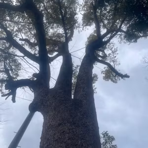 悲しみも苦しみも挫折も何もない人生とは？