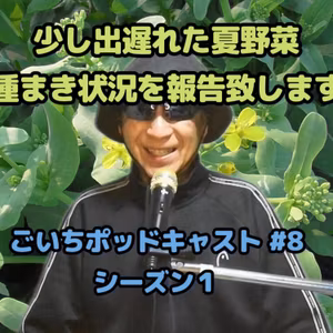少し出遅れた夏野菜種まき状況を報告致します｜ごいちポッドキャスト#8｜家庭菜園がおもしろい シーズン１