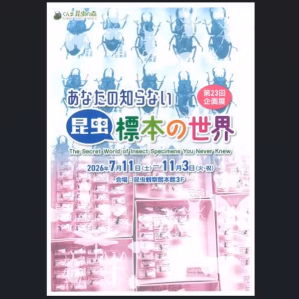 8月24日OAまん中ぐんま元気情報「第23回企画展「あなたの知らない『昆虫』標本 の世界」」