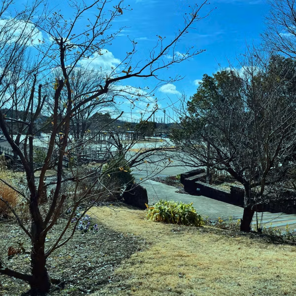 大きな公園を歩きながら