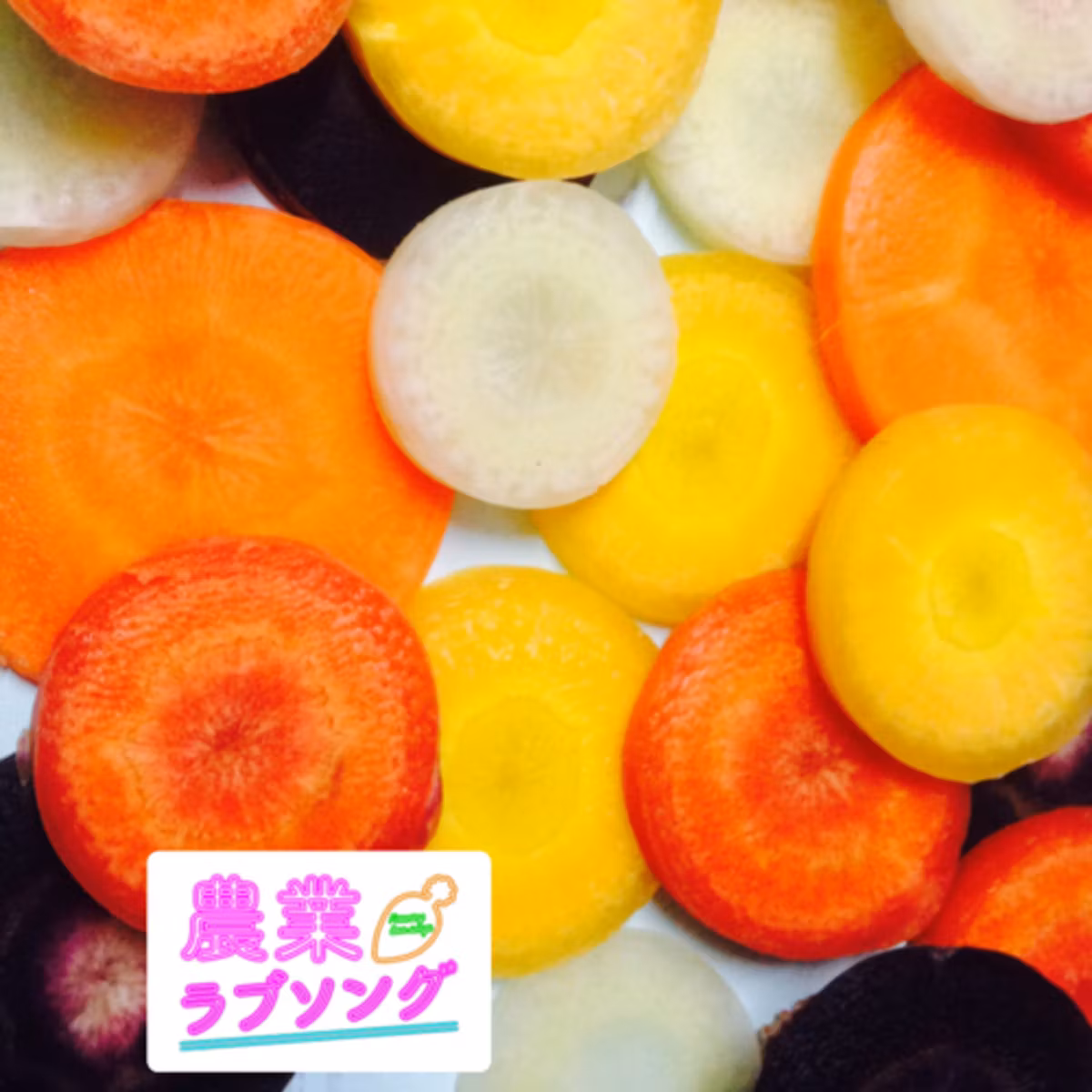 Ep.178 野菜の価格高騰、ピンチとするかチャンスにするか？稼ぐ農家、泣く農家。
