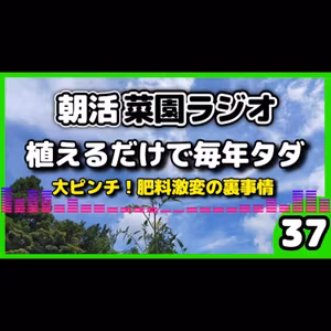 ＜無限栽培＞「ほったらかし」で毎年収穫できるコスパ最強野菜4選