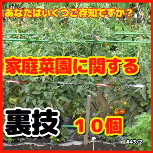 あなたはいくつご存知ですか？家庭菜園に関する裏技１０個