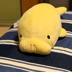#1 …本質考えがちじゃない？げんとくさんって。