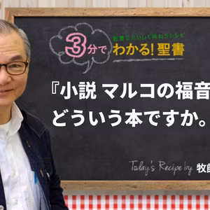 『小説　マルコの福音書』は、どういう本ですか。（484)