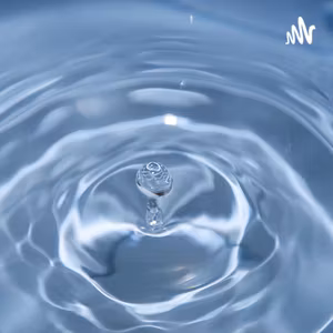 香りで楽しむサウナの世界｜香る水風呂/hibi