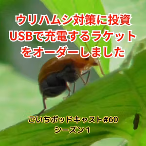 ウリハムシ対策に投資・USBで充電するラケットをオーダーしました#60｜ごいち 家庭菜園がおもしろい シーズン１