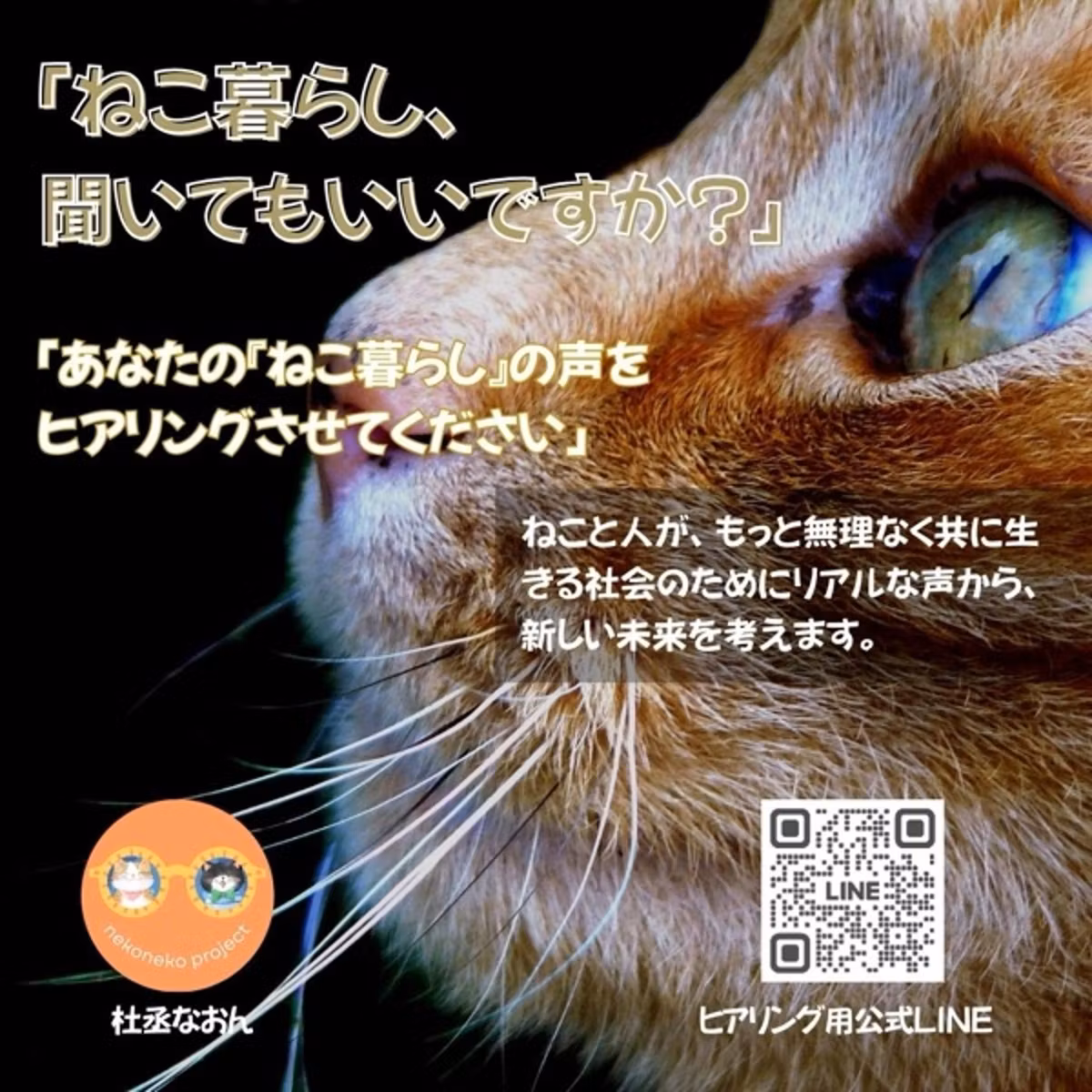 小さな命を守るご協力のお願い【あなたの声を聴かせて】