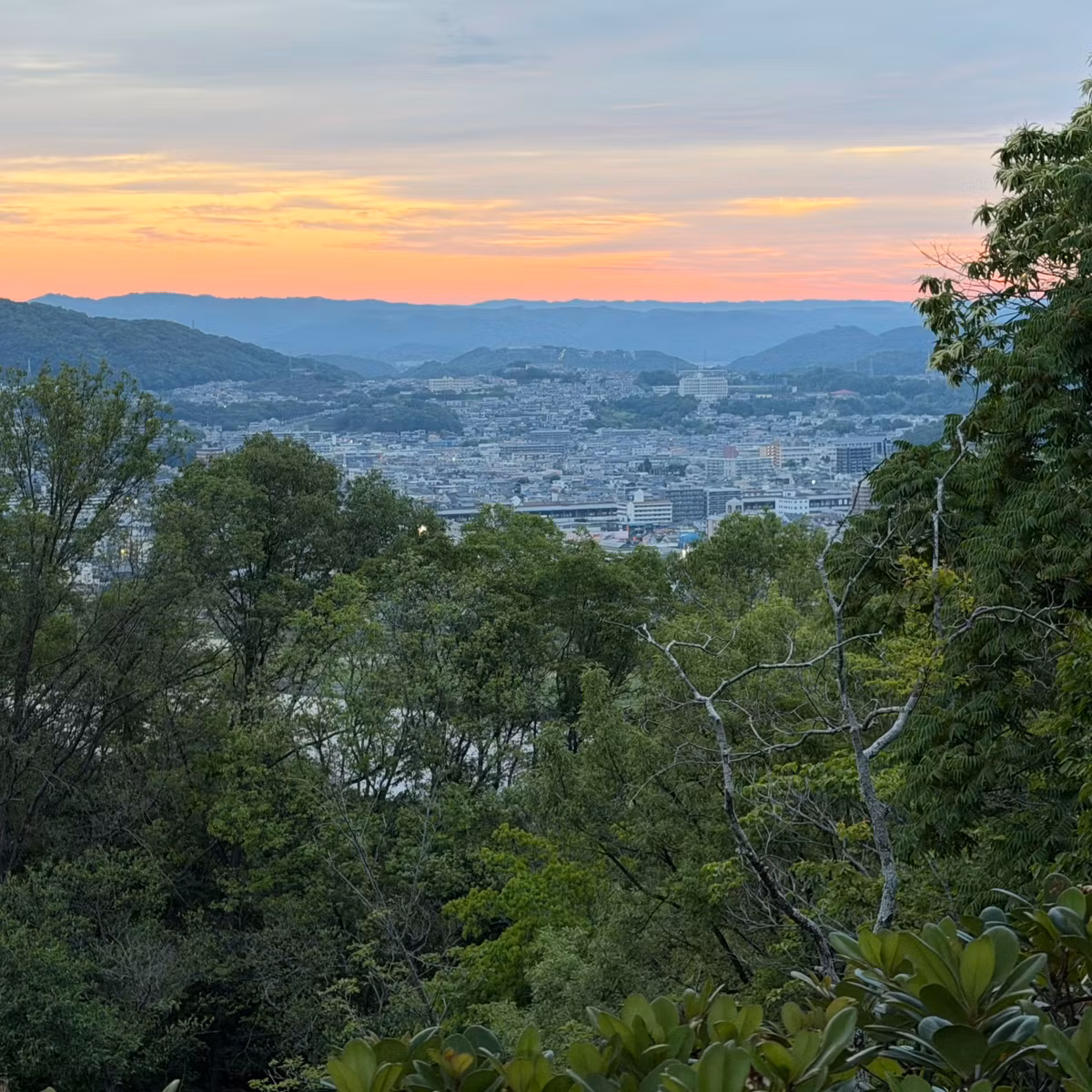 Sunrise Coffee and Cloudy Skies at the Observatory （いつもの展望台から2026年5月31日）