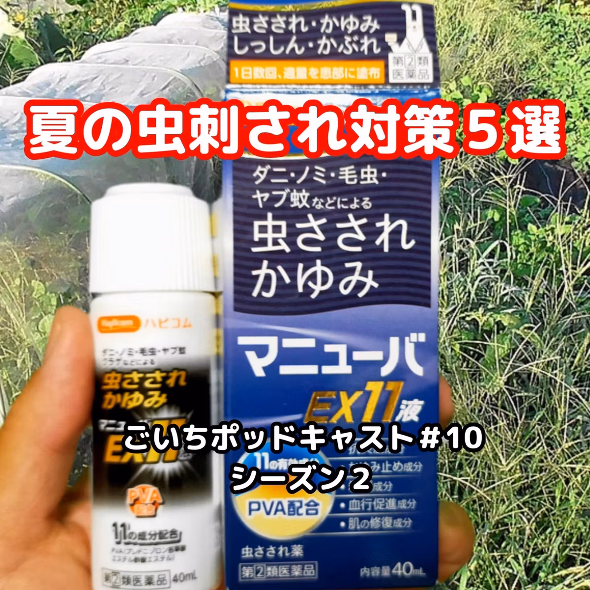 夏の虫刺され対策５選#10｜ごいち 家庭菜園がおもしろい シーズン２｜5 Summer Insect Bites Countermeasures #podcast
