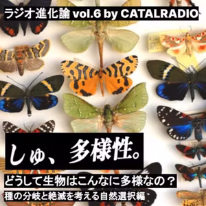 しゅ、多様性。どうして生物はこんなに多様なの？~種の分岐と絶滅を考える自然選択編~【ラジオ進化論 vol.6】