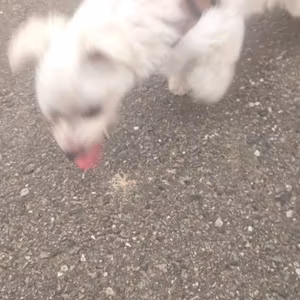 "あなたのほうへ"
