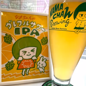 第二種V字モデル試験