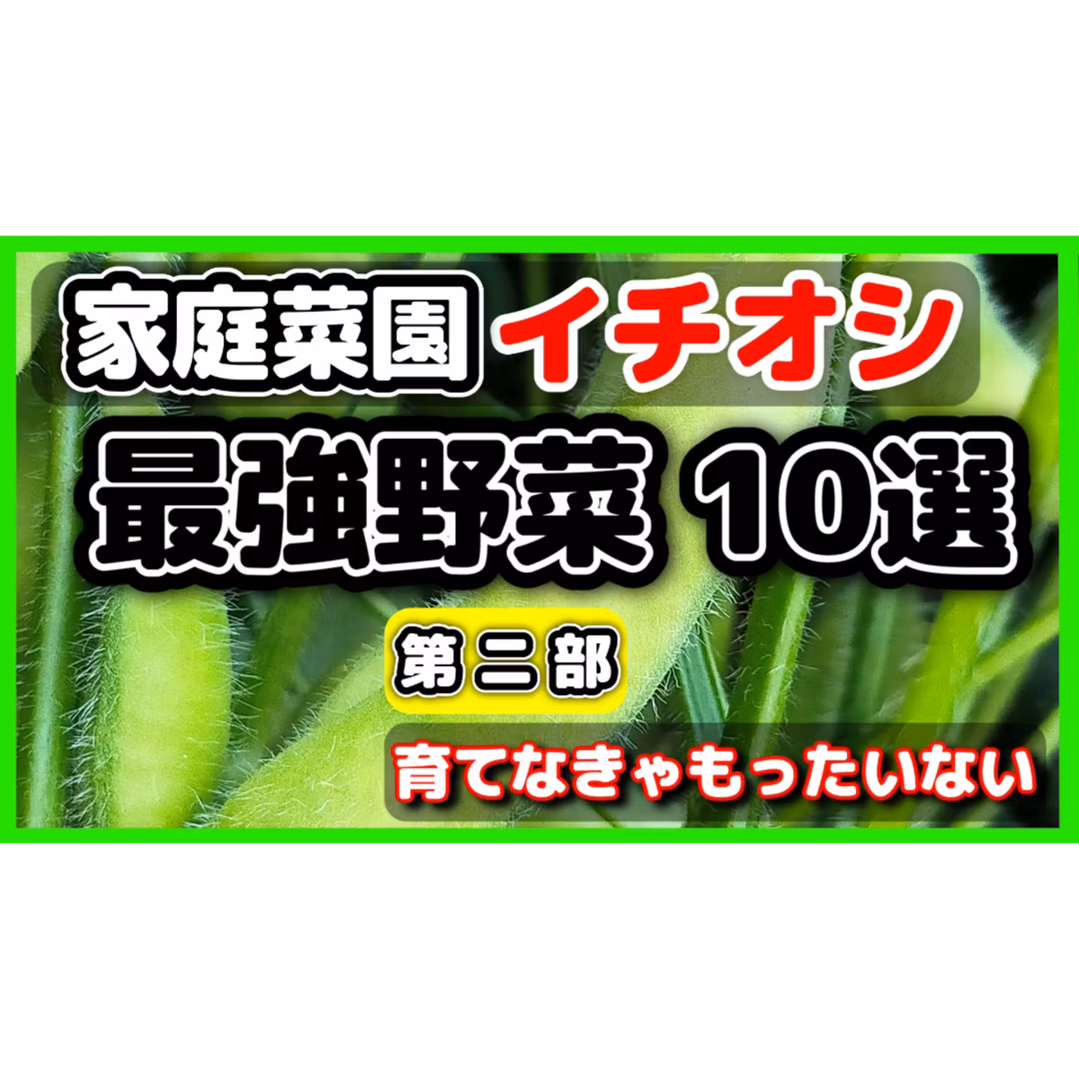 【初心者向け完全ガイド】家庭菜園で絶対に作るべき「最強野菜」10選・第2部（ナス・ピーマン・ブロッコリー・枝豆編）