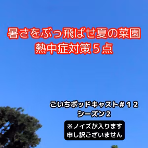 菜園での熱中症対策５点#12｜ごいち 家庭菜園がおもしろい シーズン２｜5 heat stroke countermeasures in the vegetable garden #podcast