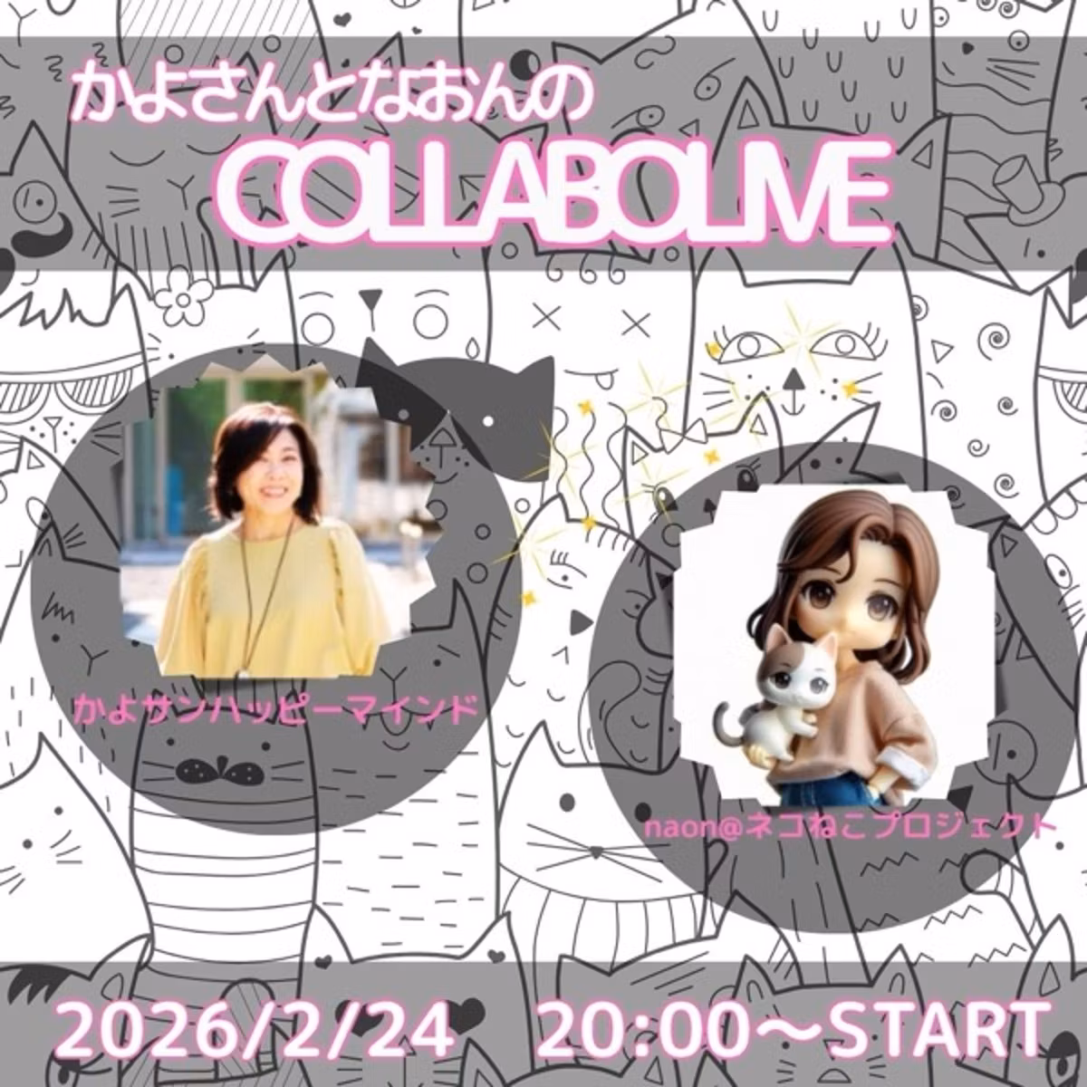🐈‍⬛ネコネコプロジェクトについて　naonさんのコラボライブ