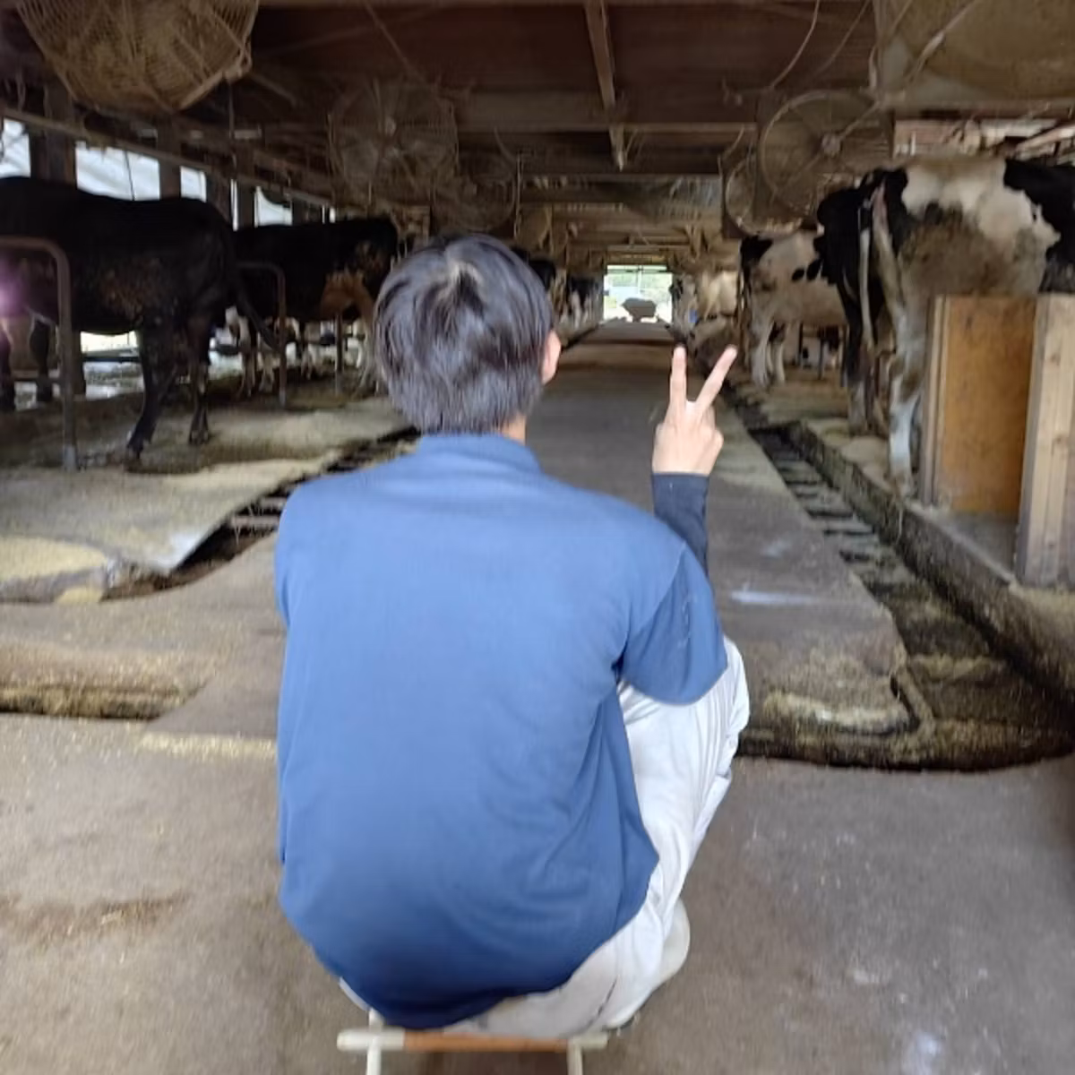 R8年高校生職場体験受入中①