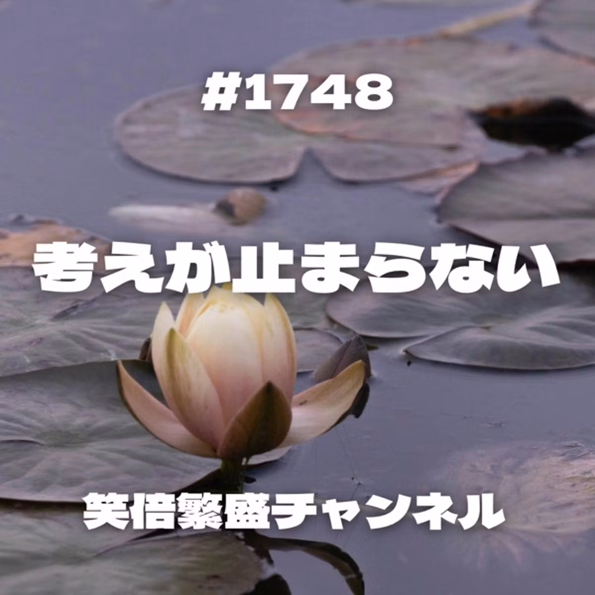 #1748 考えが止まらない