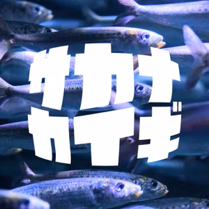 イワシ 🐟 海を支える偉大さと「ナブラ」のフィーバータイム