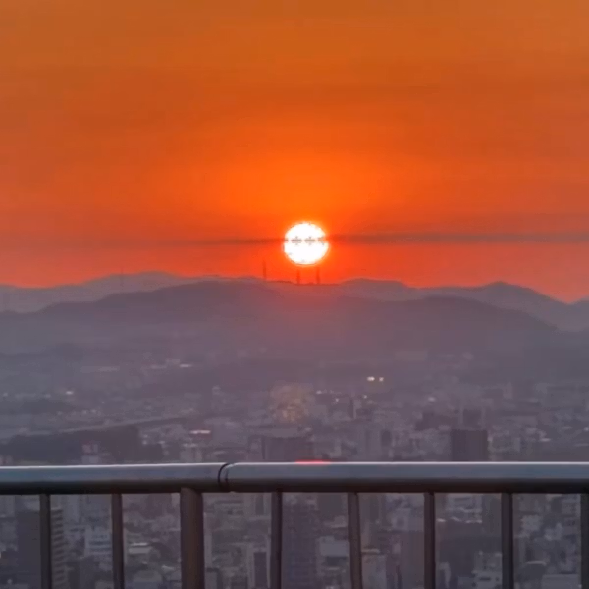 いつもの展望台から読み解く、AIの進化と「卵」の裏側にある真実（2026年5月14日）