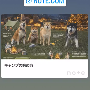 冬キャン⛺