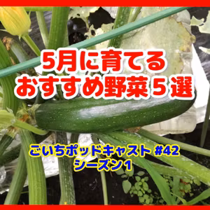 5月に育てるおすすめ野菜５選#42｜家庭菜園がおもしろい シーズン１