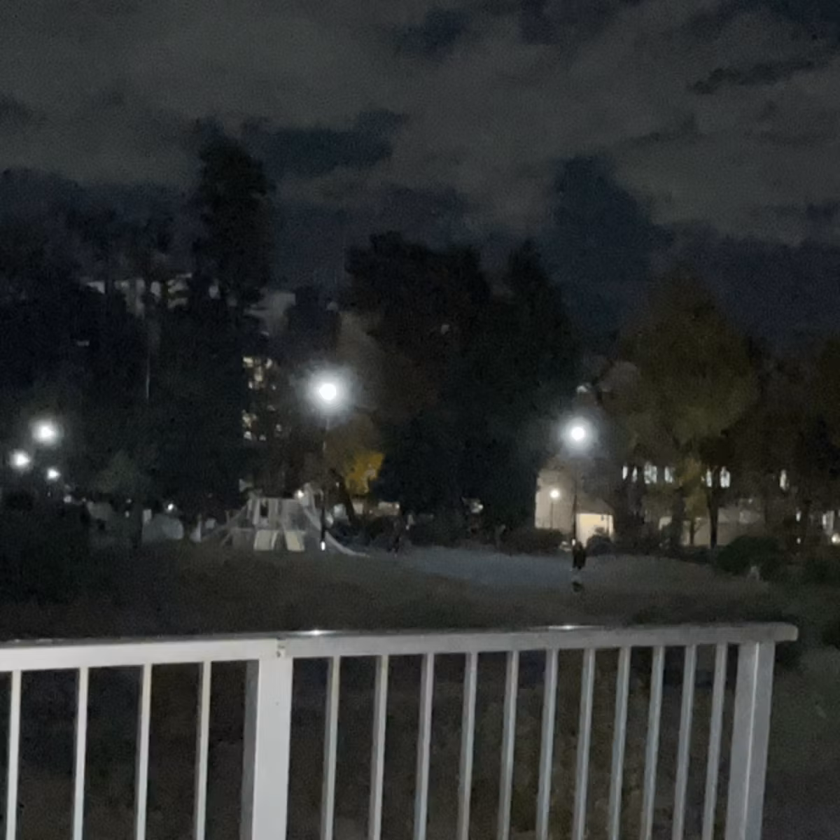 みんなのココロの安全基地を.･*’’*･.♬ ライブ