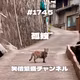 #1745孤独