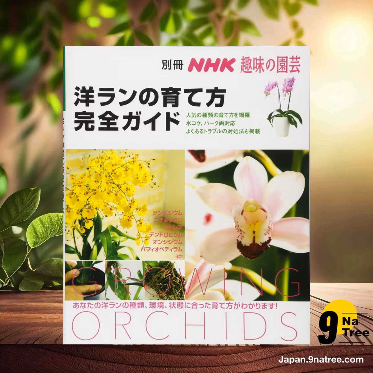                     [レビュー] 洋ランの育て方完全ガイド  (Unknown Author) 要約した.                