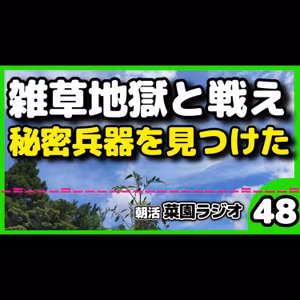 ＜雑草対策＞電動ミニ耕運機をポチッた結果…炎天下の家庭菜園に救世主現る！？【朝活菜園ラジオ】